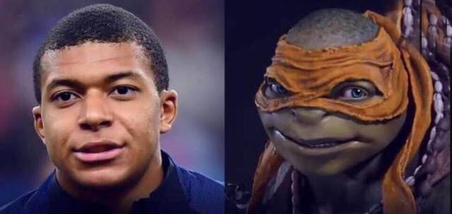 日职联前瞻：新潟天鹅提前降级，柏太阳神仍在为争冠努力